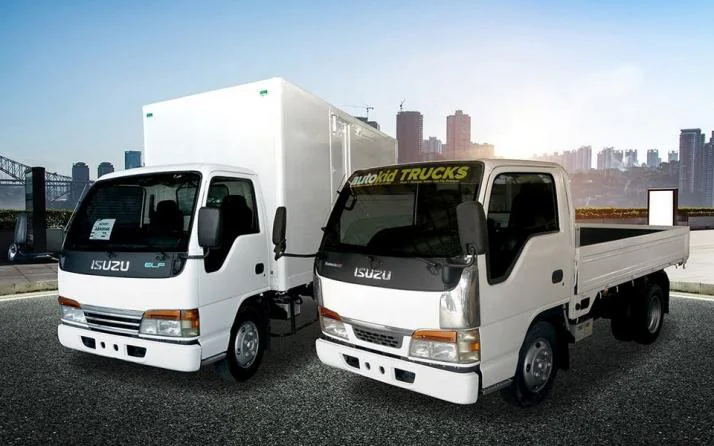 bias light truck tire